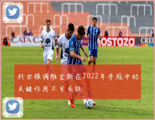 科尔强调维金斯在2022年夺冠中的关键作用不可或缺